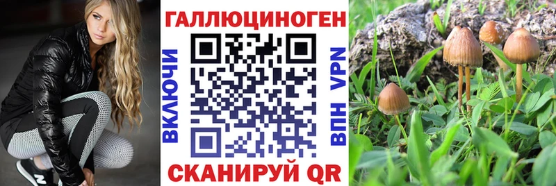 Купить закладки  Алатырь  Галлюциногенные грибы ЛСД 
